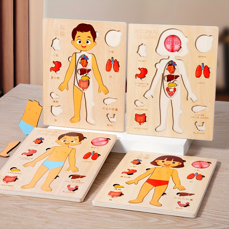 Human Body Puzzle - Puzzles de madeira Montessori para crianças,