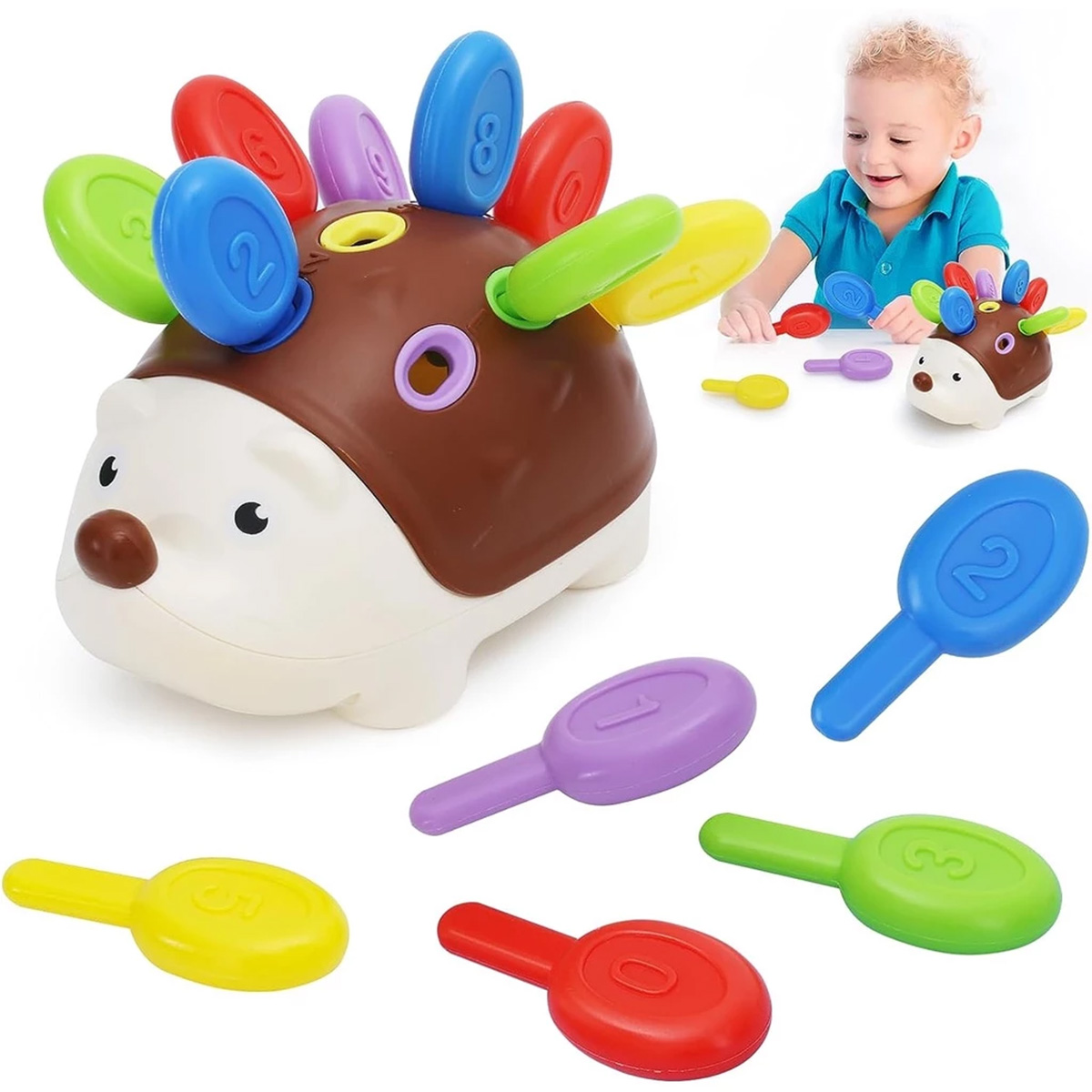Human Body Puzzle - Brinquedos Sensoriais Ouriço: Animais Fofos para
