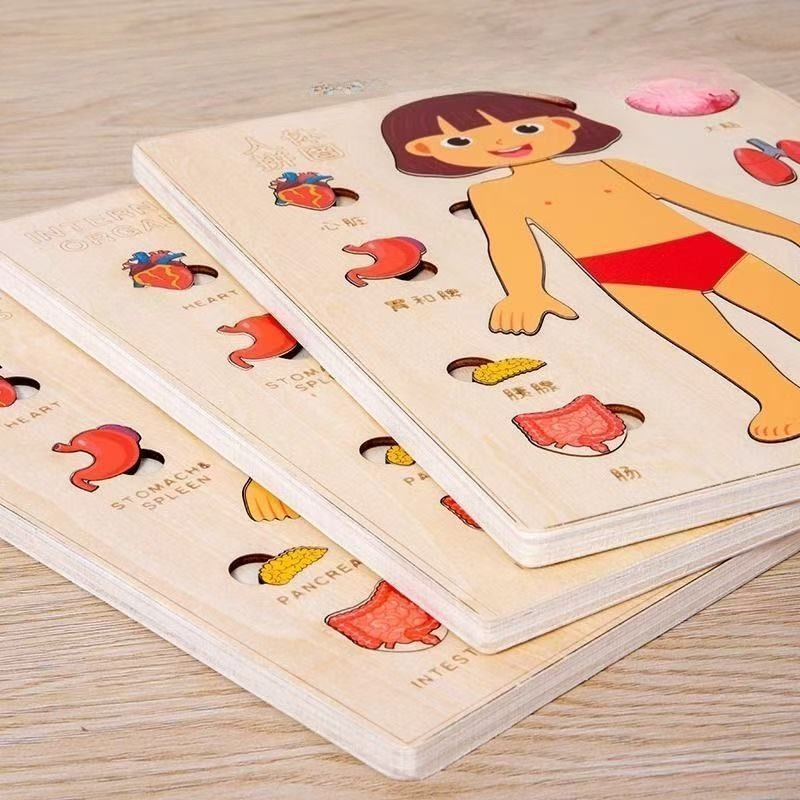 Montessori quebra-cabeças ocup - Human Body Puzzle avaliação e preço