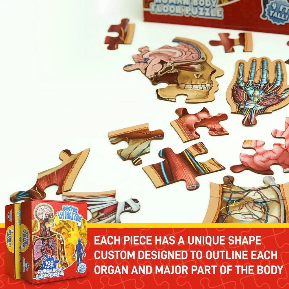 Quebra-Cabeça de Anatomia Huma - Human Body Puzzle avaliação e preço