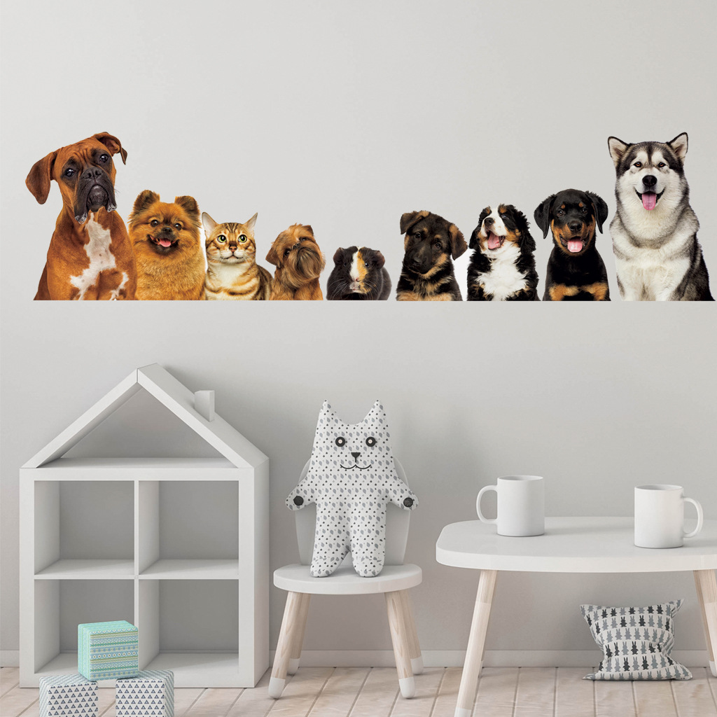 C30 #   9 gatos fofos e cães a - Kids Education Quotes avaliação e preço
