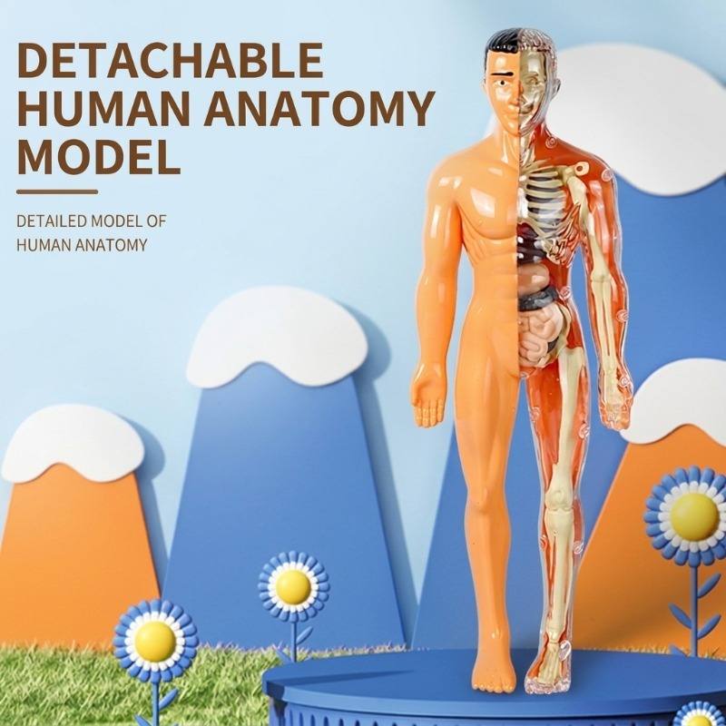 Conjunto de Experimentos Cient - Human Body Puzzle avaliação e preço