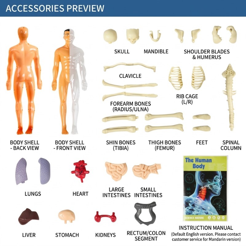 Conjunto de Experimentos Cient - Human Body Puzzle avaliação e preço