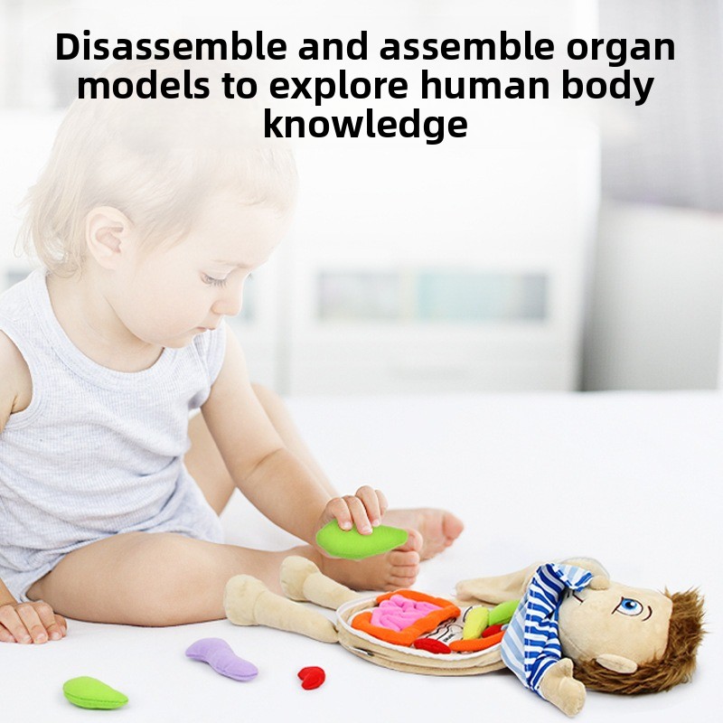 Quebra-cabeça de cognição de ó - Human Body Puzzle avaliação e preço