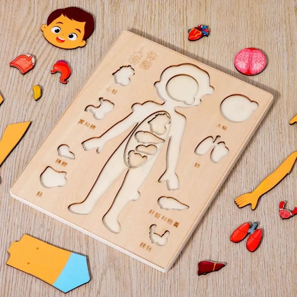 NOVO Quebra-Cabeça Montessori  - Human Body Puzzle avaliação e preço