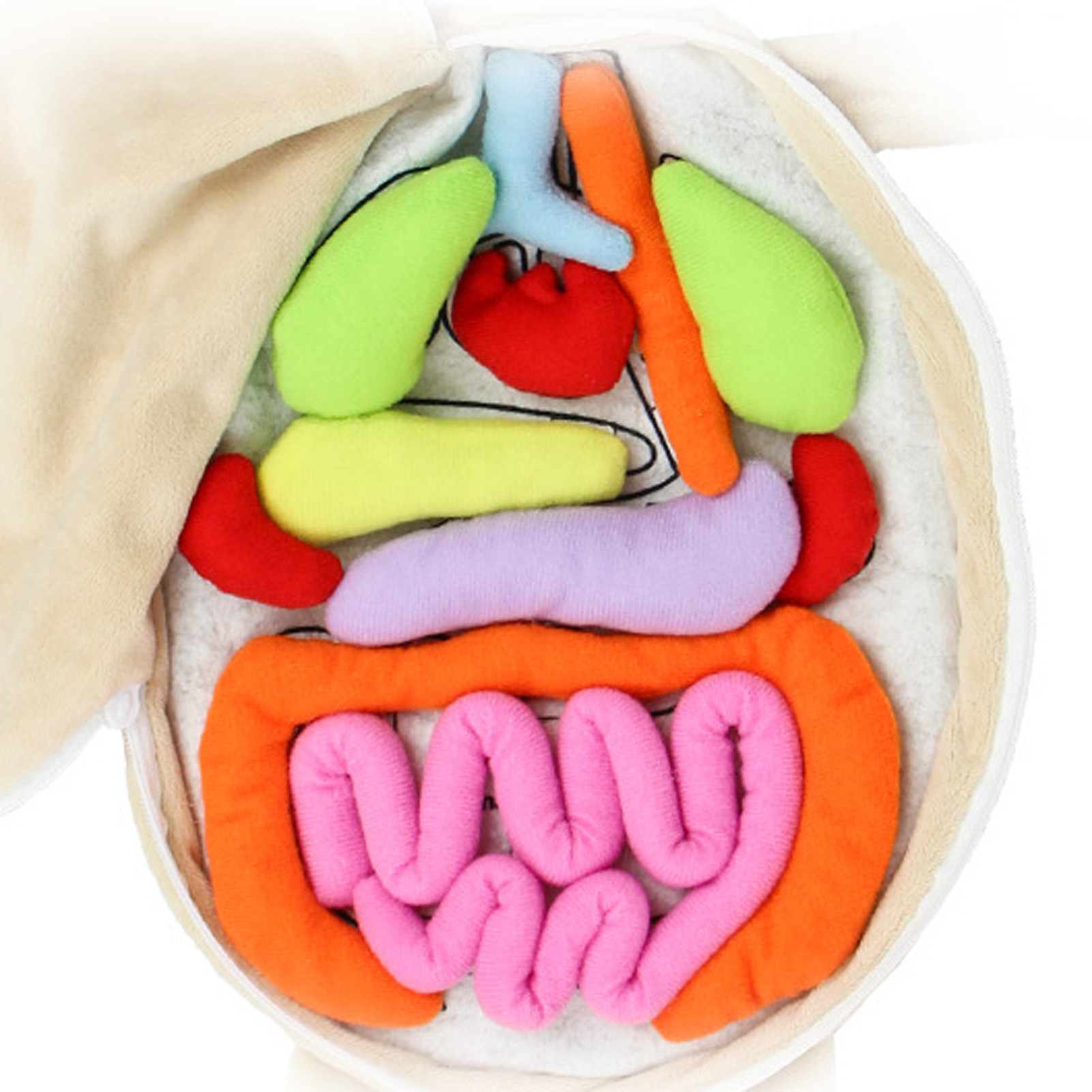 Criança montessori brinquedos  - Human Body Puzzle avaliação e preço